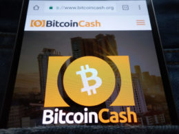 BTC Cash Business Opportunities in 2021 and Beyond