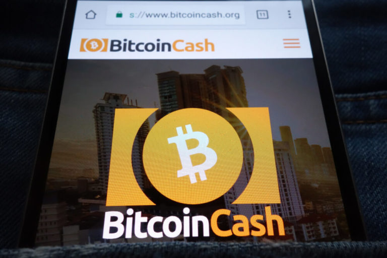 BTC Cash Business Opportunities in 2021 and Beyond