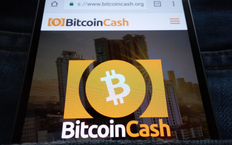 BTC Cash Business Opportunities in 2021 and Beyond